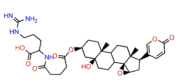 3-(N-Glutaryl argininyl)-marinobufagin